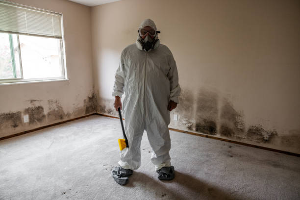 Ellensburg, WA Mold Removal Company